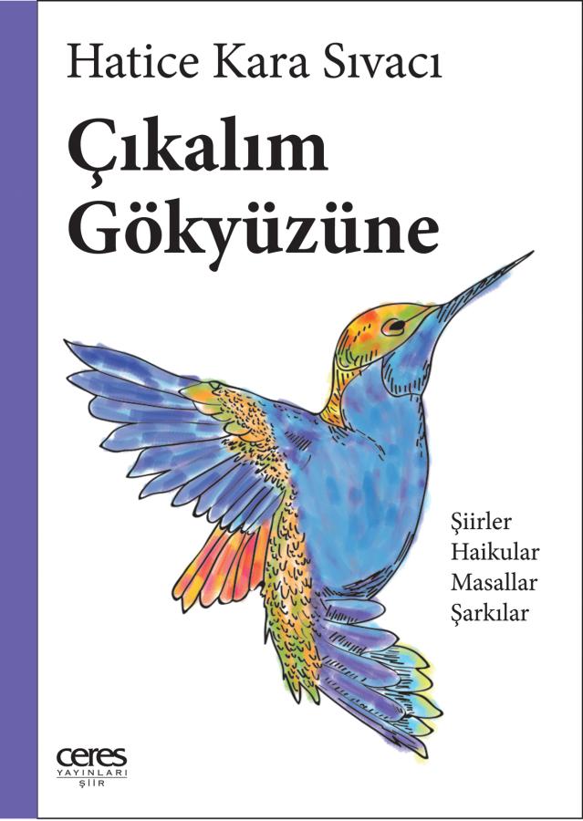 Çıkalım Gökyüzüne